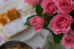 DSCF1185